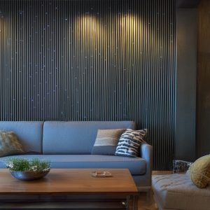 StarEFX™ Acoustic Wood Slat Panels